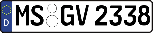 MS-GV2338