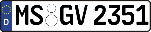 MS-GV2351