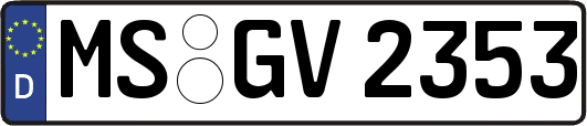 MS-GV2353