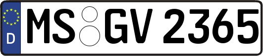 MS-GV2365