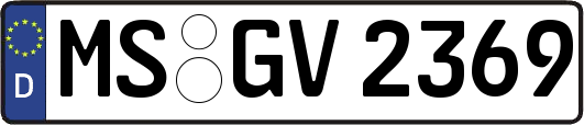 MS-GV2369