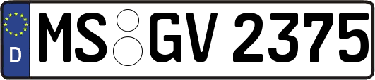 MS-GV2375