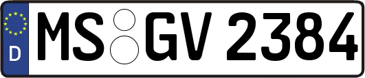 MS-GV2384