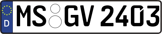 MS-GV2403