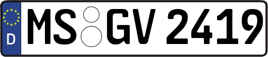 MS-GV2419