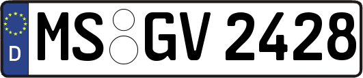 MS-GV2428