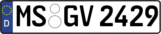 MS-GV2429