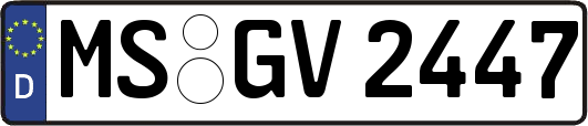 MS-GV2447