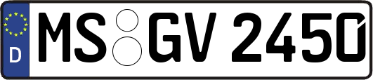 MS-GV2450