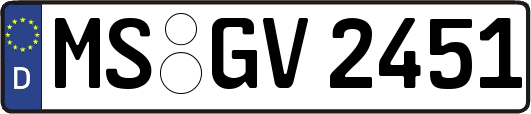 MS-GV2451