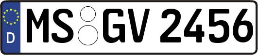 MS-GV2456