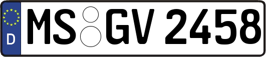 MS-GV2458