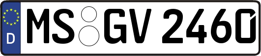 MS-GV2460
