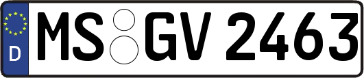 MS-GV2463