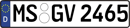 MS-GV2465