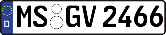 MS-GV2466