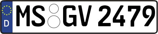 MS-GV2479