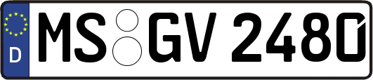 MS-GV2480
