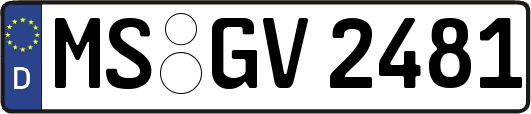 MS-GV2481