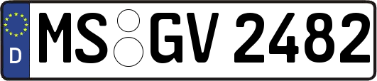 MS-GV2482