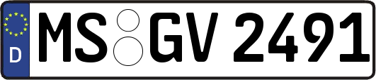 MS-GV2491