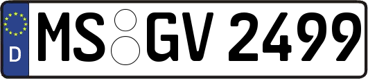 MS-GV2499