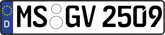 MS-GV2509