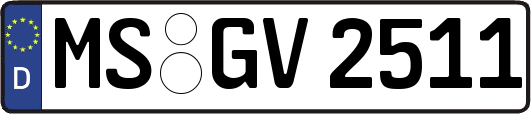 MS-GV2511