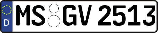 MS-GV2513