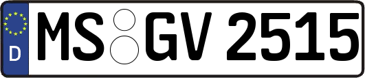 MS-GV2515