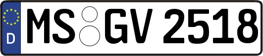 MS-GV2518