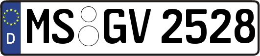 MS-GV2528