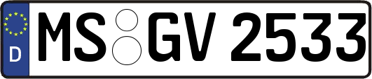 MS-GV2533