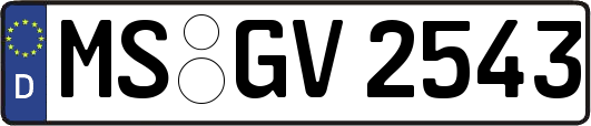 MS-GV2543