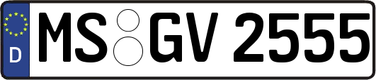 MS-GV2555