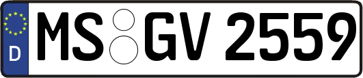 MS-GV2559