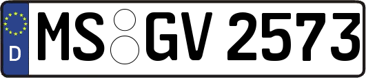 MS-GV2573