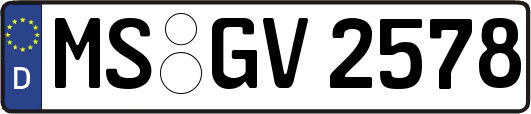 MS-GV2578