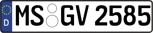 MS-GV2585