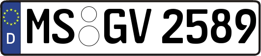 MS-GV2589