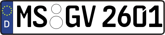 MS-GV2601