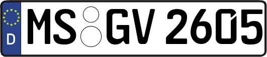 MS-GV2605
