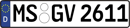 MS-GV2611