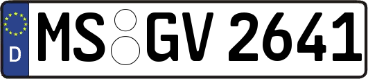 MS-GV2641