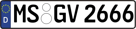 MS-GV2666
