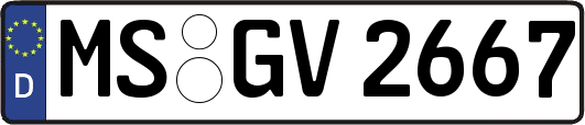 MS-GV2667