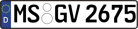 MS-GV2675