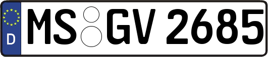 MS-GV2685