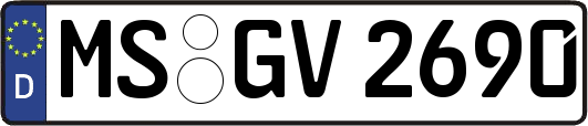 MS-GV2690