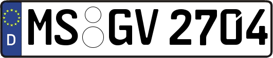 MS-GV2704